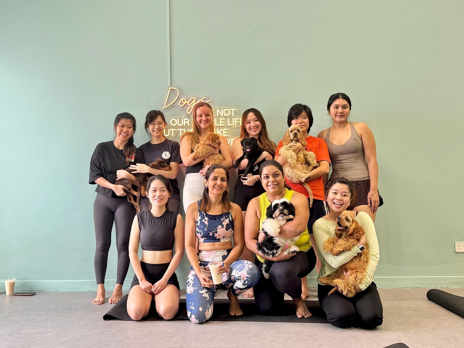 WhatsApp Image 2025-03-08 at 13.08.07